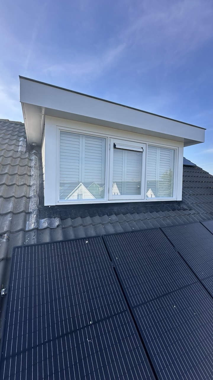 Panelen schuin dak